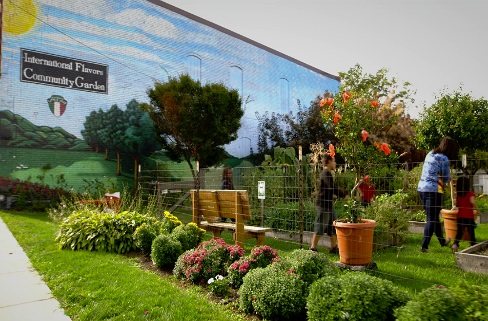 garden
